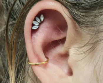 Tatoueur Bordeaux Saint-Michel Le Perce Muraille.