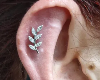 Tatoueur Bordeaux Saint-Michel Le Perce Muraille.