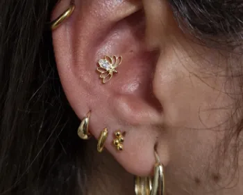 Tatoueur Bordeaux Saint-Michel Le Perce Muraille.