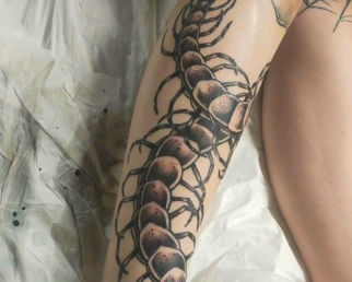 Salon de tatouage, tatoueur à Bordeaux - Shop St Michel (33).